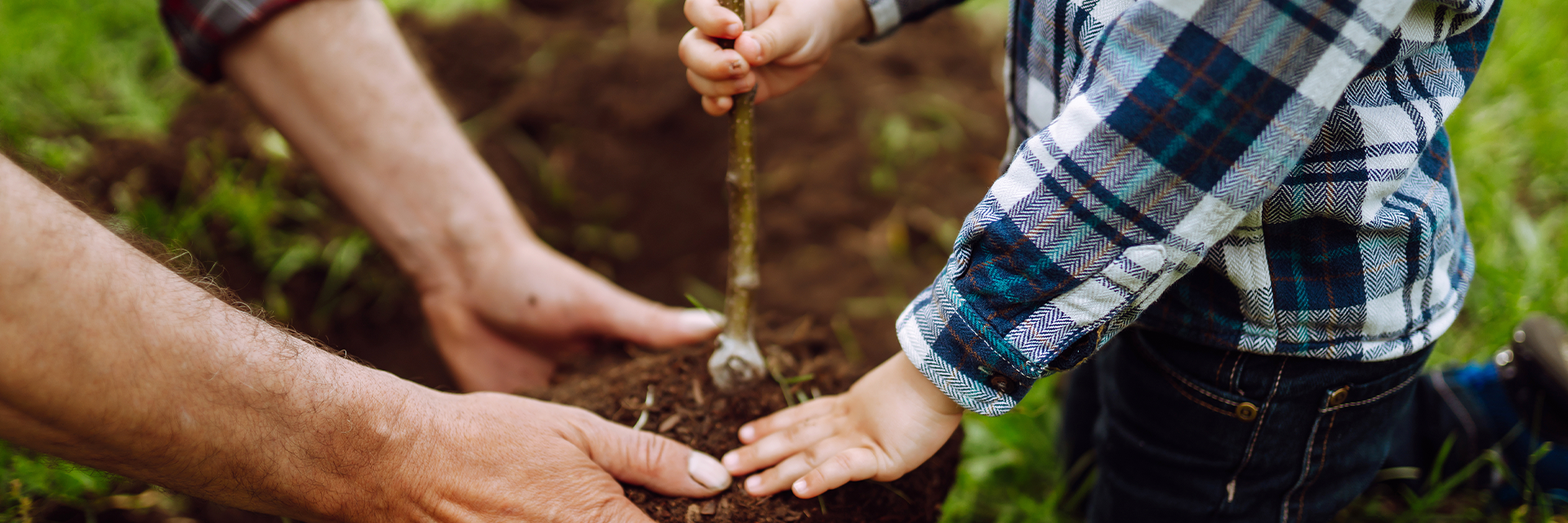 L'asssociation des Matte d'Amérique