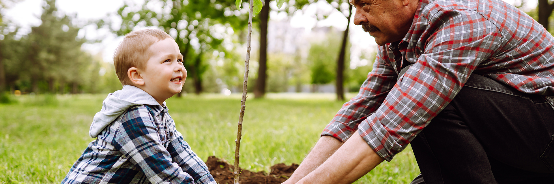 L'asssociation des Matte d'Amérique