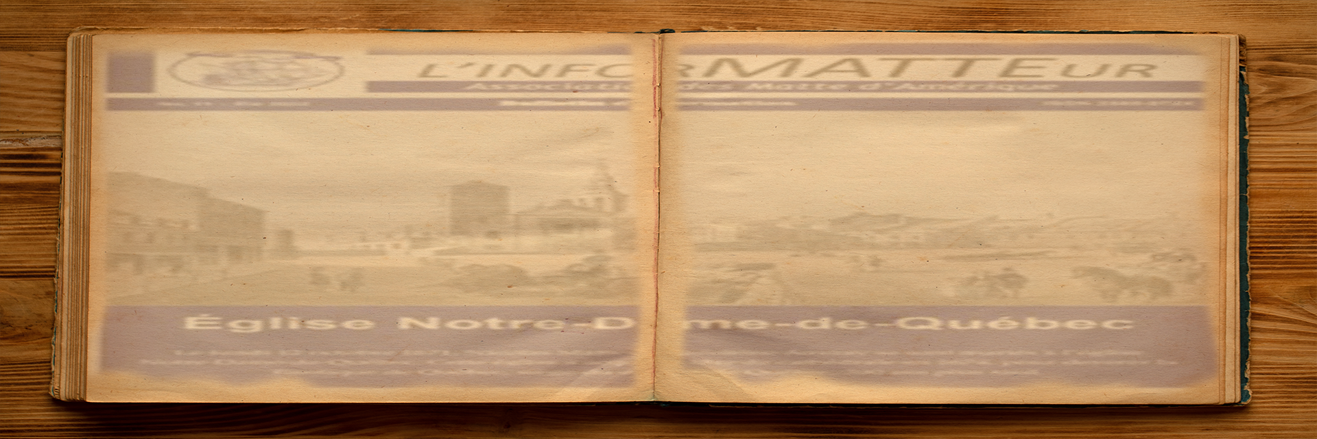 L'asssociation des Matte d'Amérique