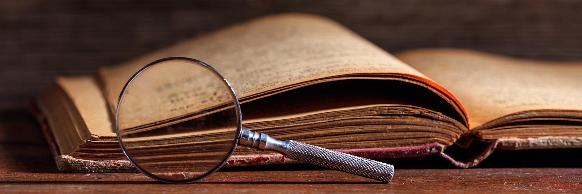 L'asssociation des Matte d'Amérique