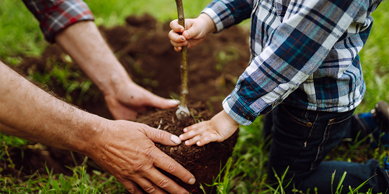 L'asssociation des Matte d'Amérique