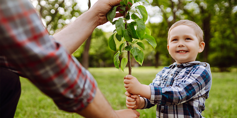 L'asssociation des Matte d'Amérique
