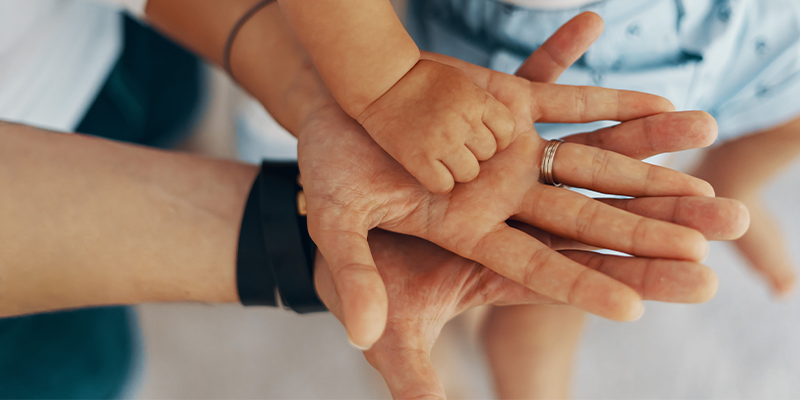 L'asssociation des Matte d'Amérique